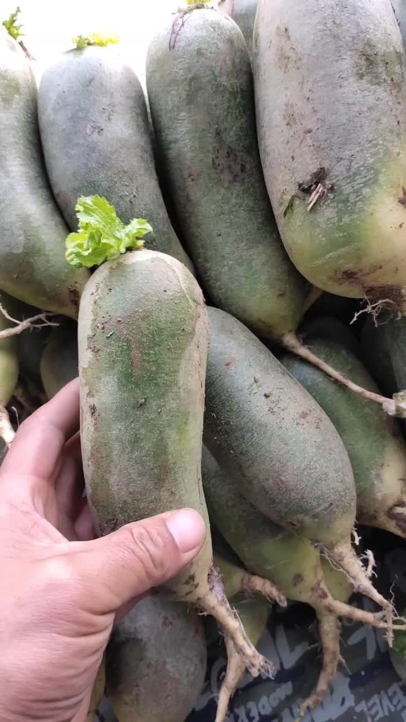 水果萝卜