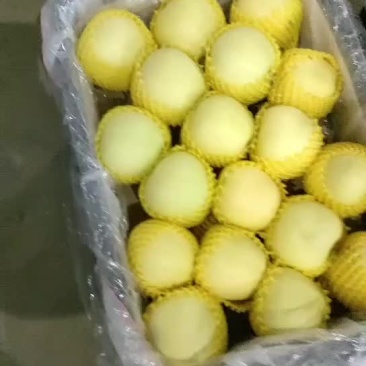 黄元帅