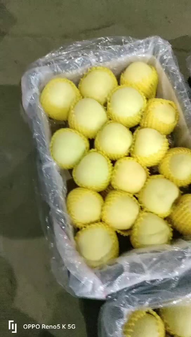黄元帅
