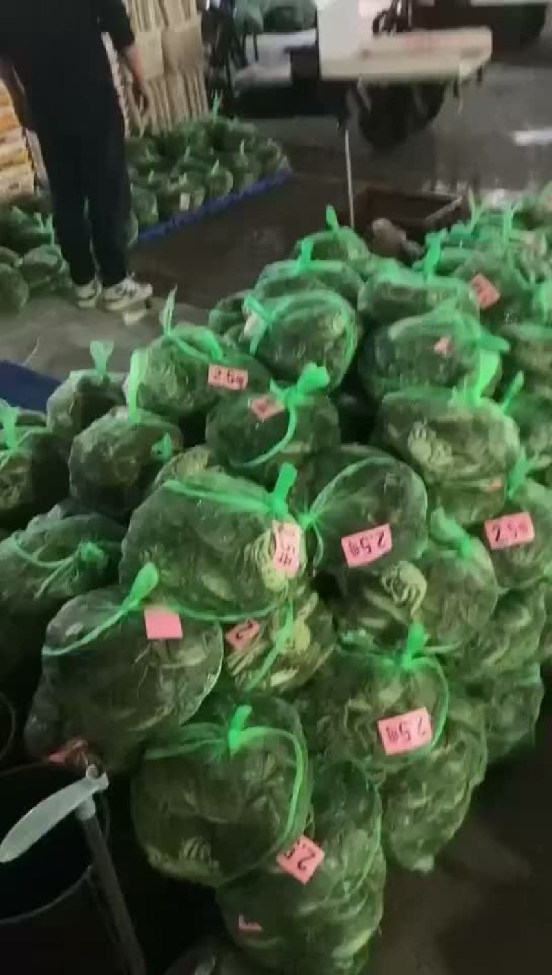 大闸蟹潜江大闸蟹己发展4万亩之多，己自产自销一体化