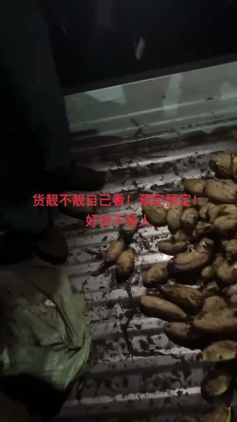 精品莲头！