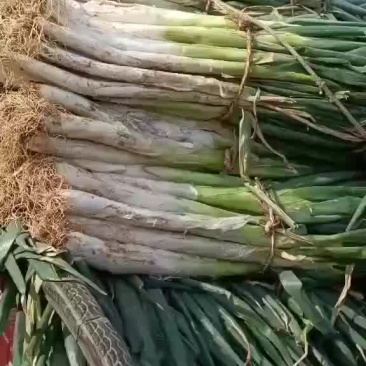 货原充足，质量好价格低