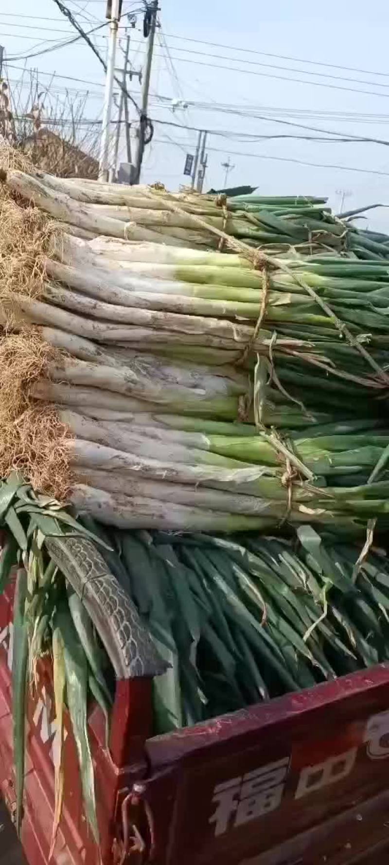 货原充足，质量好价格低