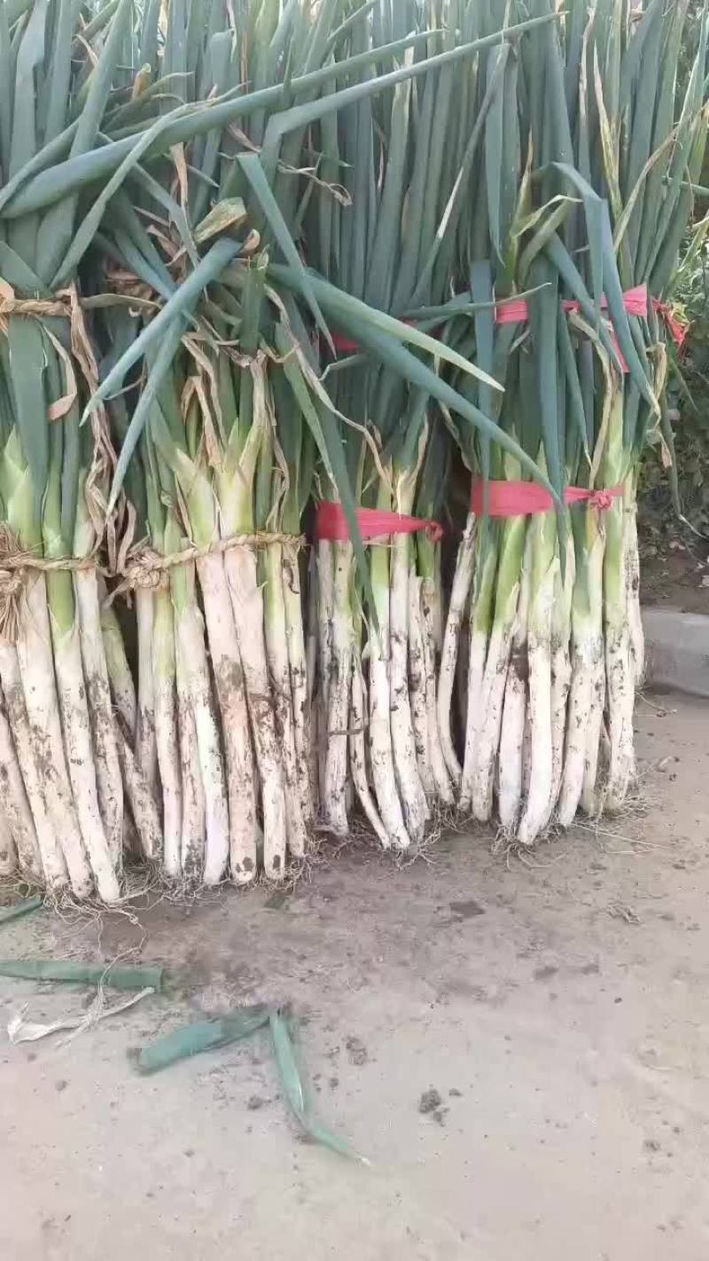 货原充足，质量好价格低