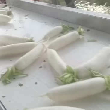 精品白萝卜