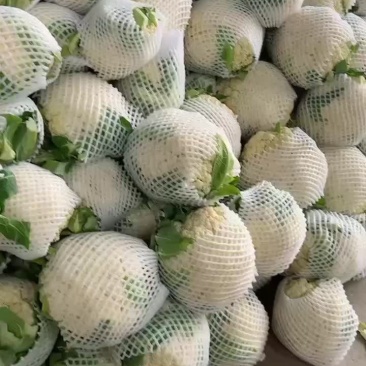 精品散花菜花价格便宜产地临洮全国发货保质保量