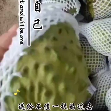 释迦果