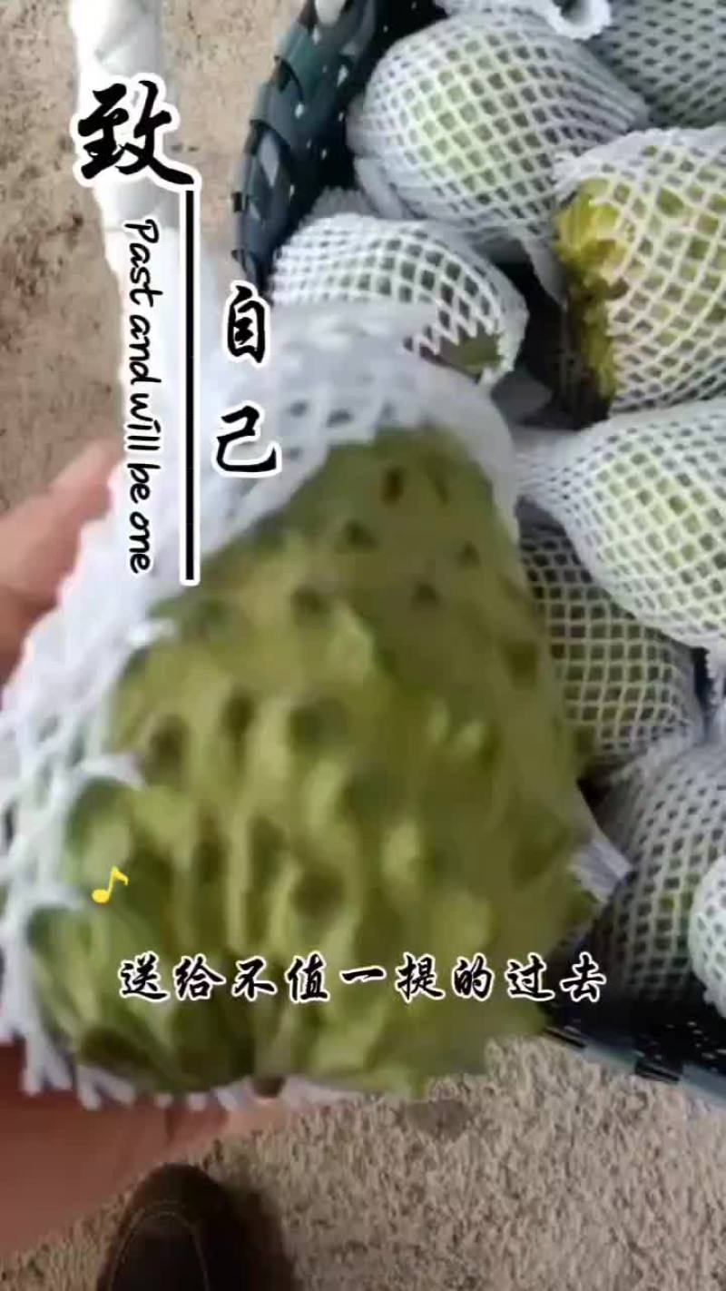 释迦果