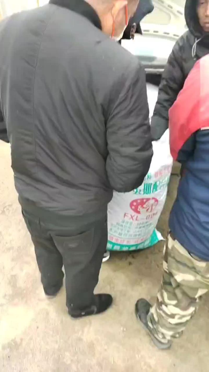 长岭县朝天椒基地大量走货
