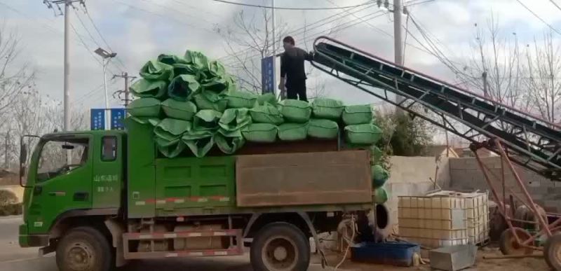 玉米秸秆青储饲料牛羊圆包、方包大量现货！