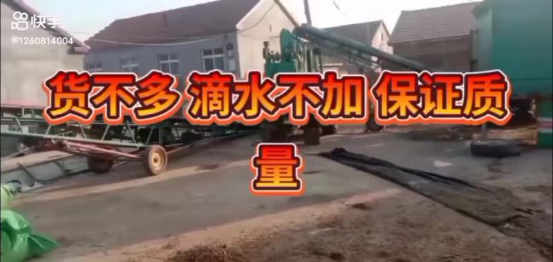 玉米秸秆青储饲料牛羊圆包、方包大量现货！