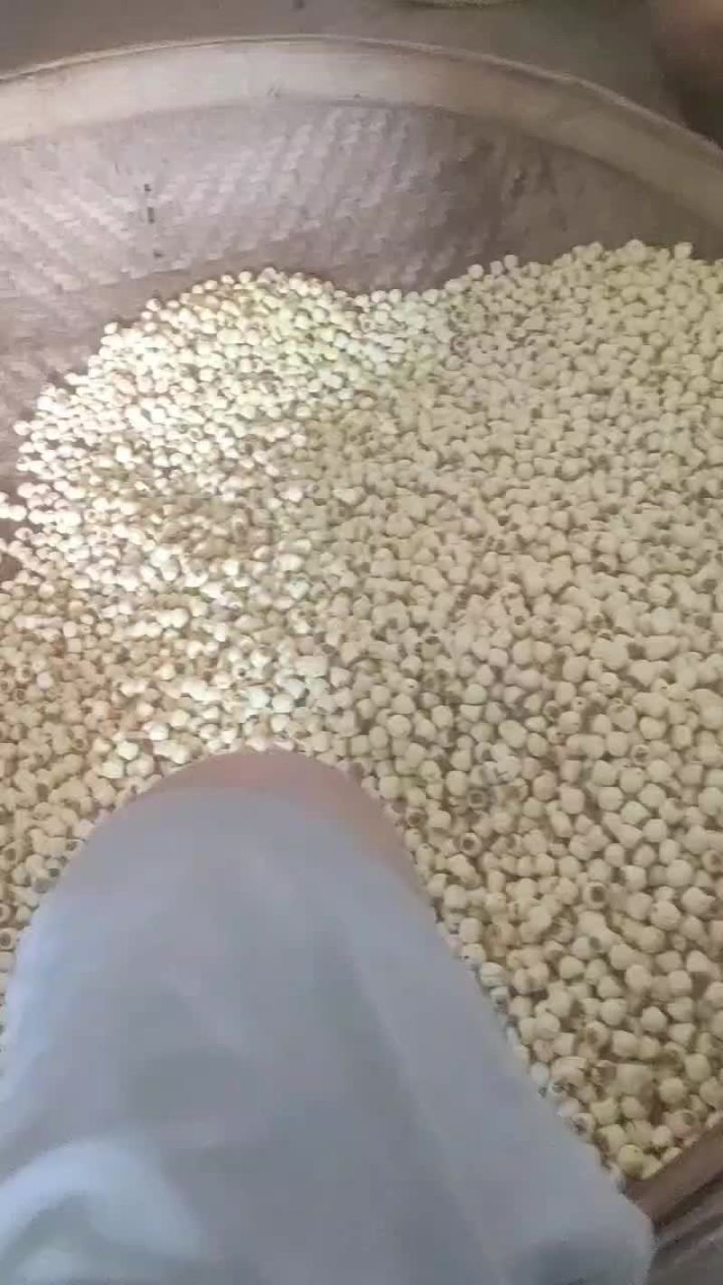 莲子各种规格！30000斤！！全通芯！全干！