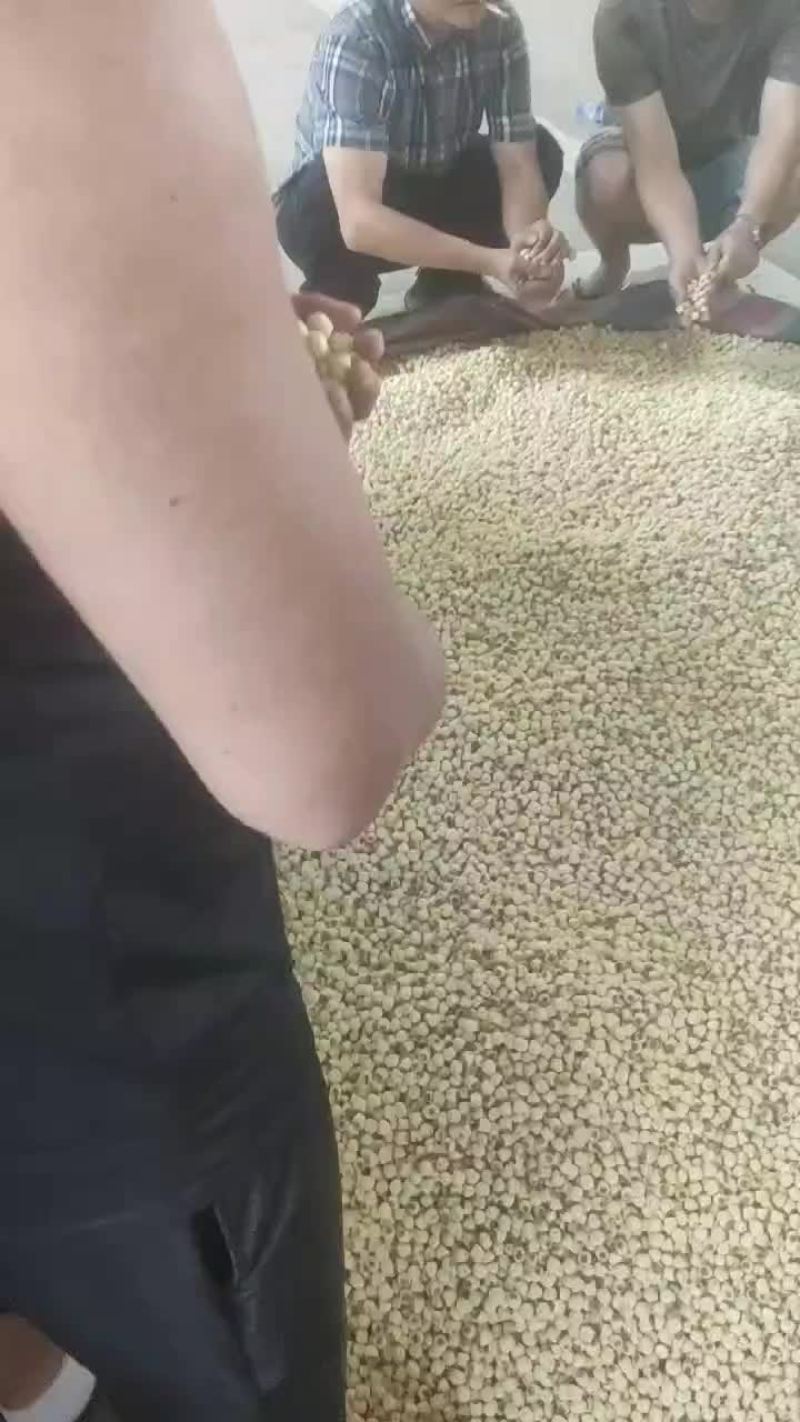 莲子各种规格！30000斤！！全通芯！全干！