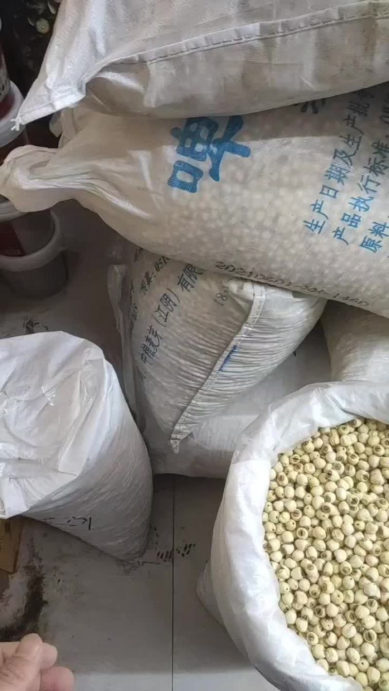 莲子各种规格！30000斤！！全通芯！全干！