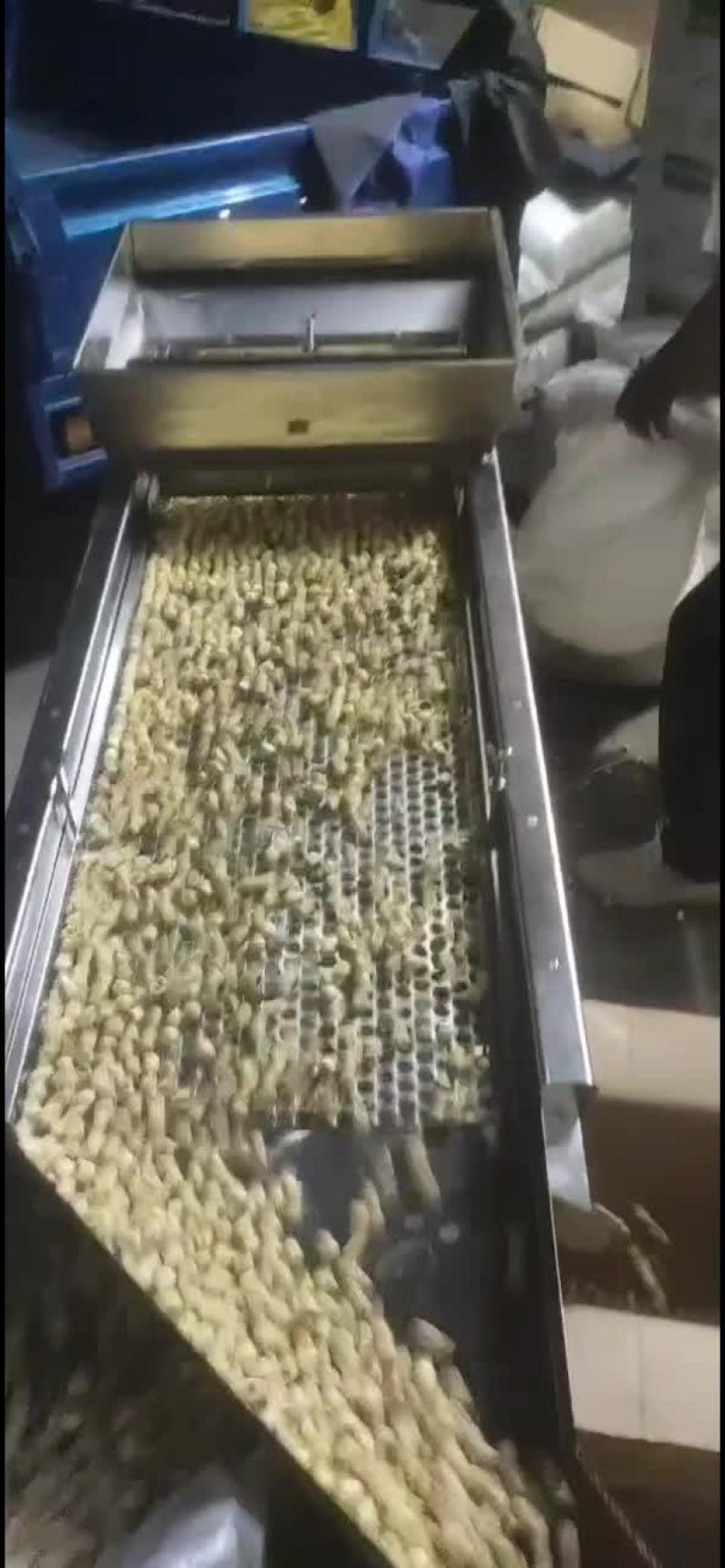 莲子各种规格！30000斤！！全通芯！全干！