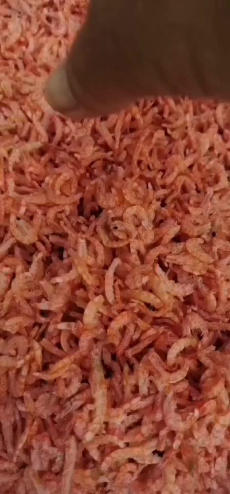 高质量麟虾米，高钙铁锌，适合包饺子煲汤即食，适合大众人群