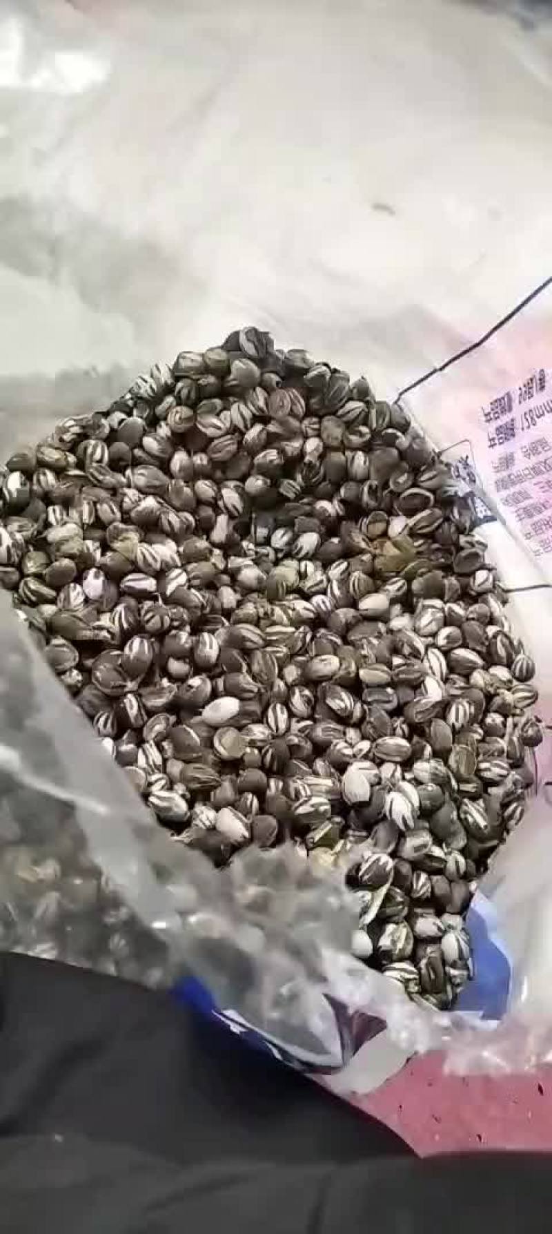 卖杨拉罐