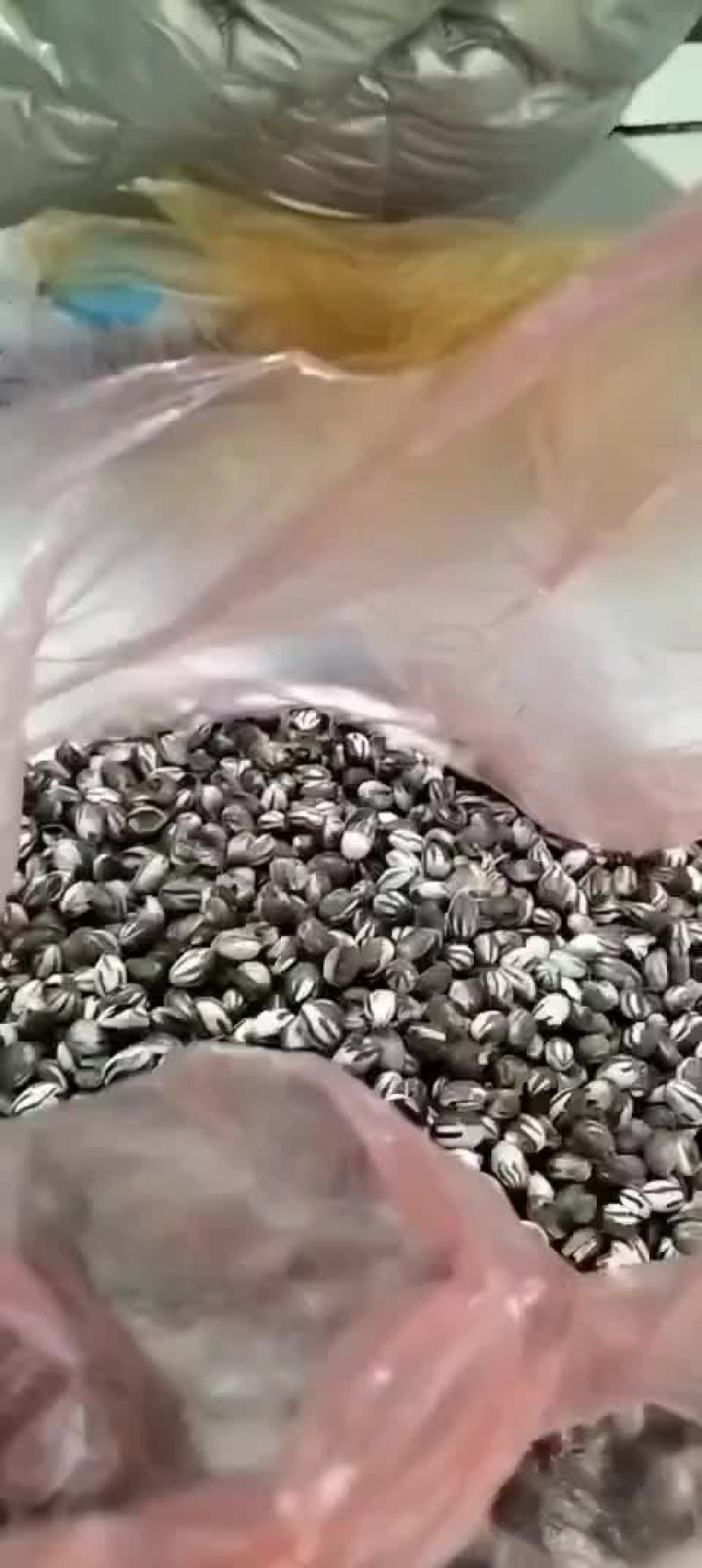卖杨拉罐