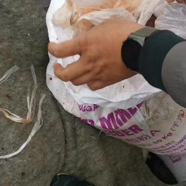 辣椒酱