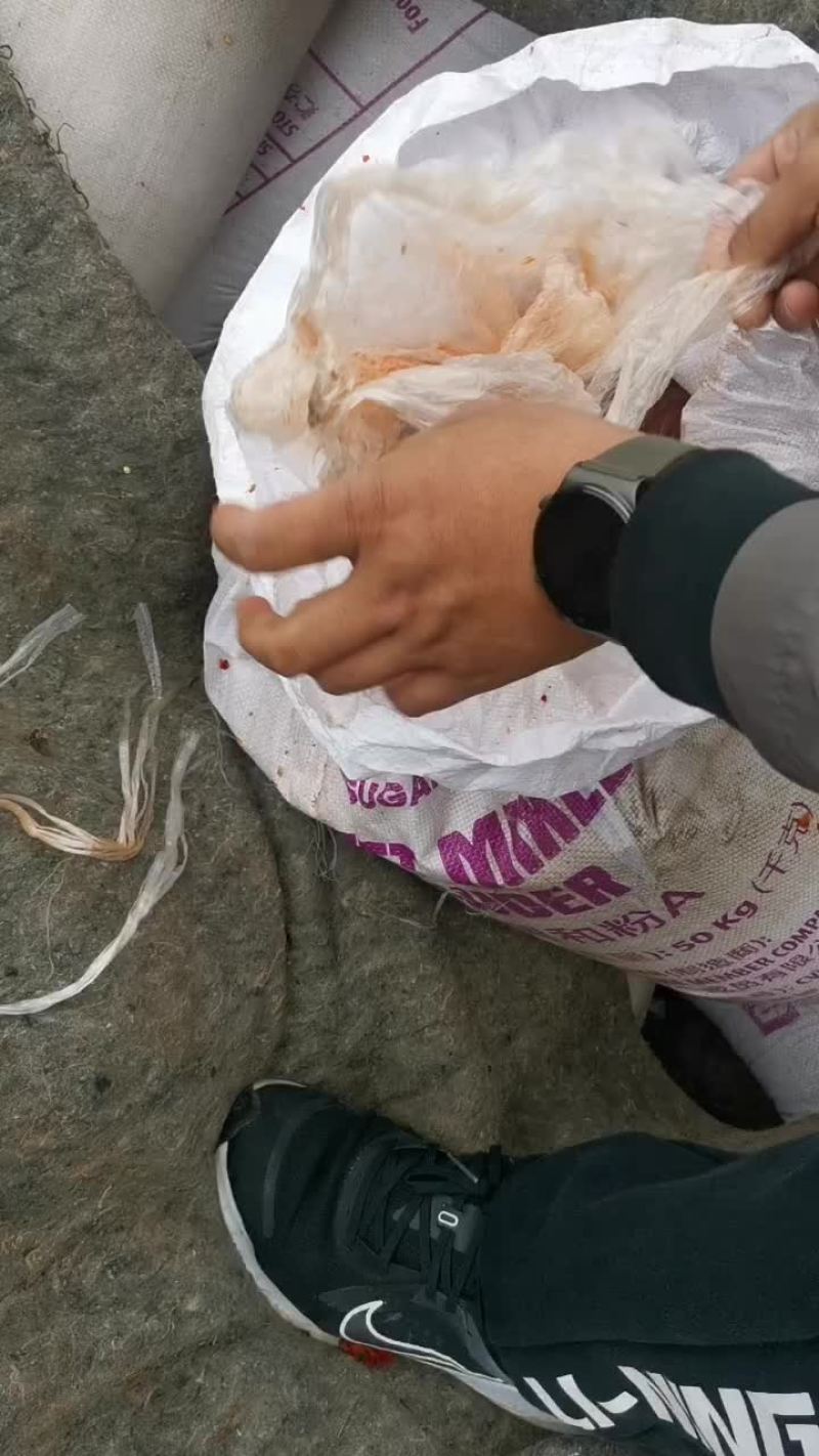 辣椒酱
