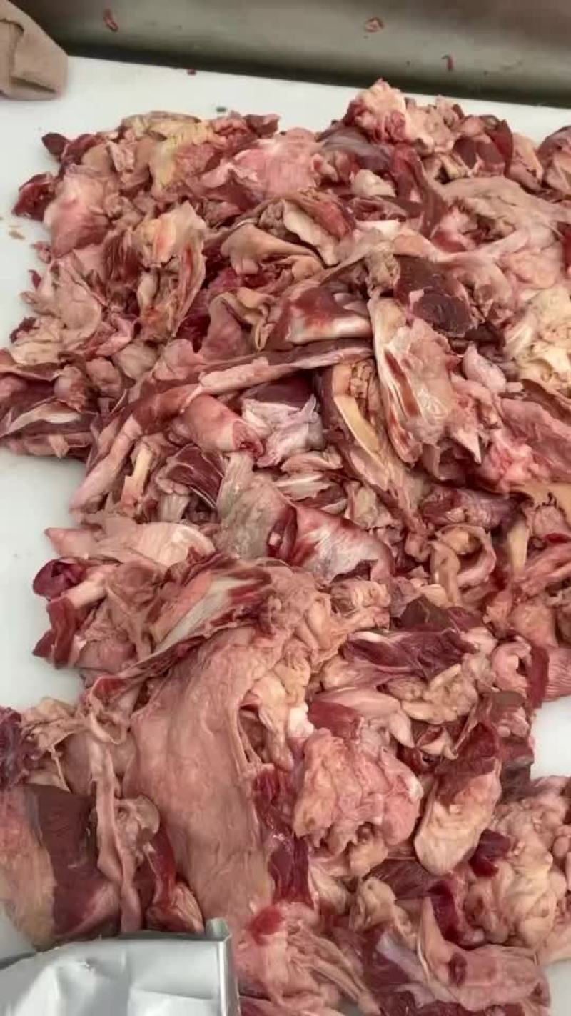 牛肉筋，现货
