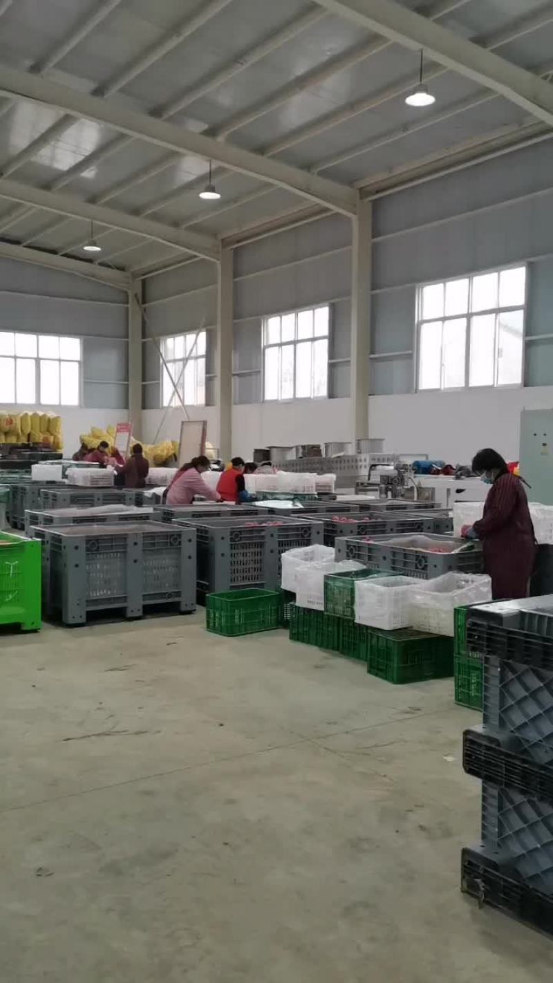陕西红富士苹果