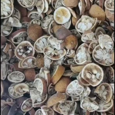 枸橘干片干净无杂质