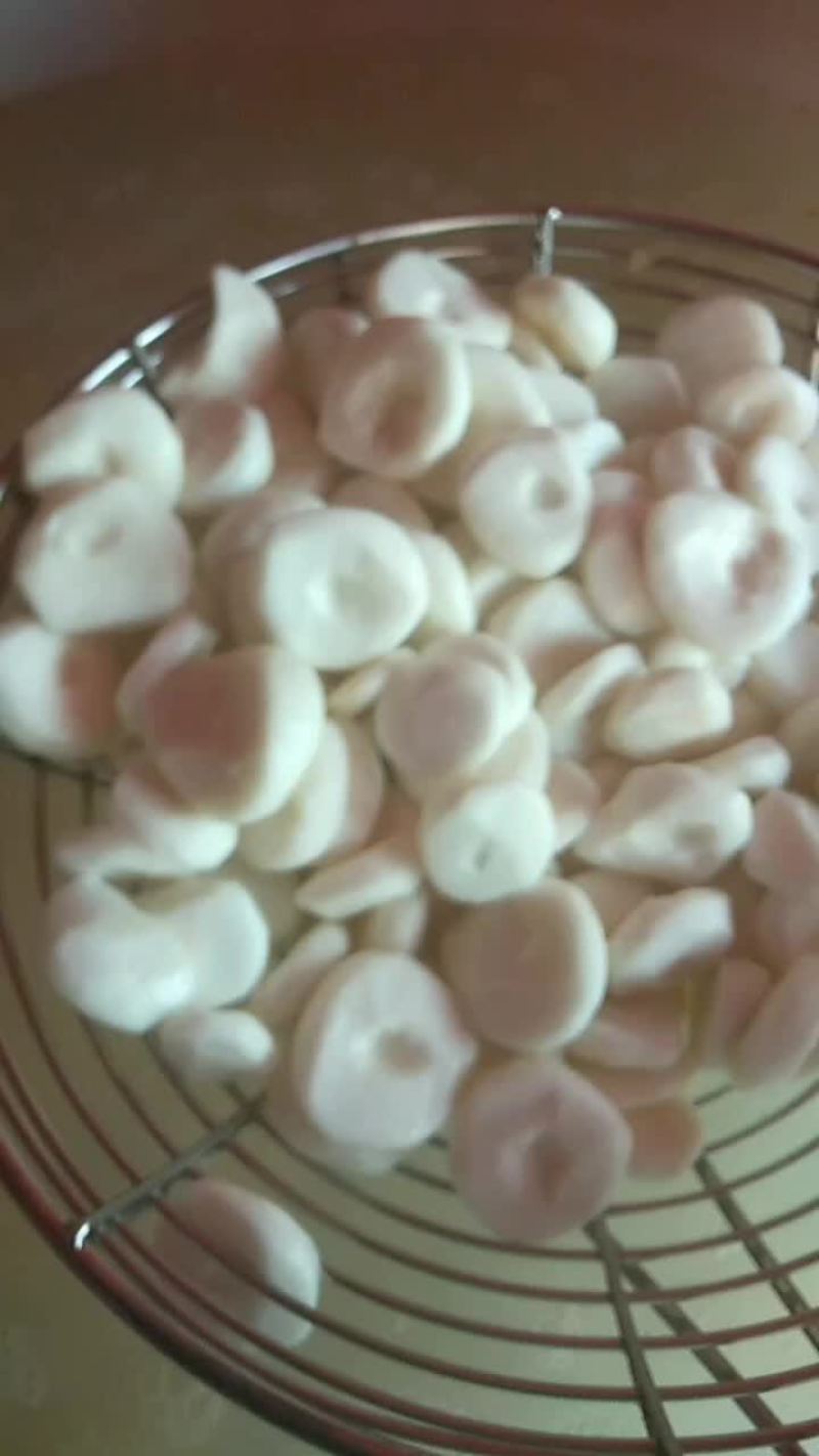 马蹄