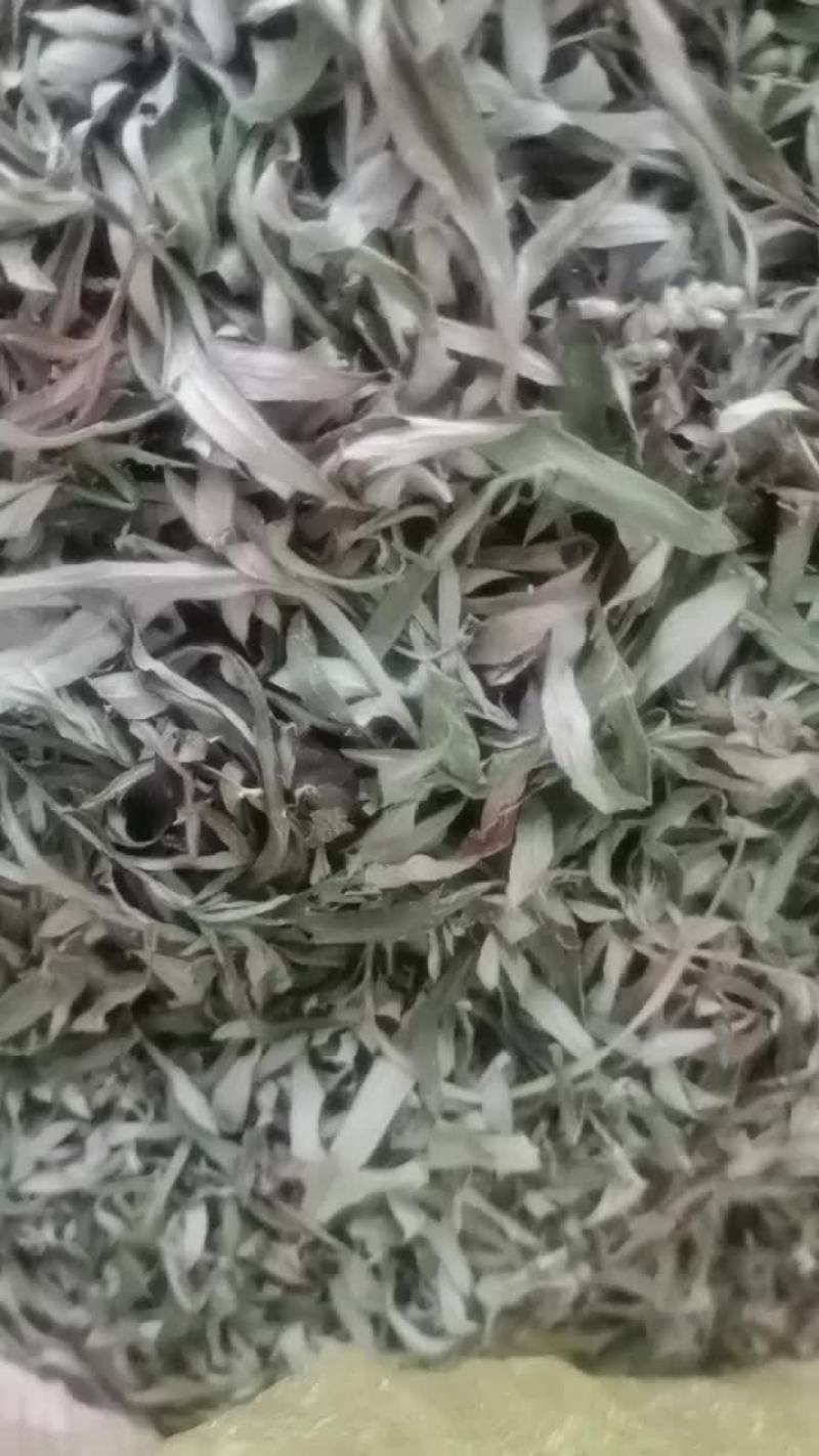 小艾叶