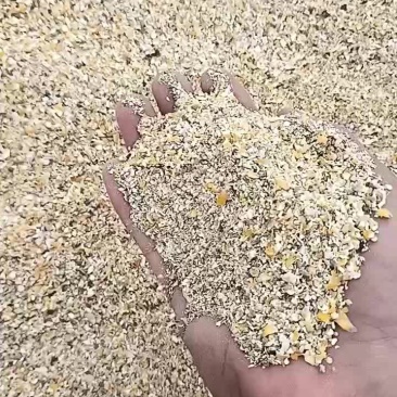 碎玉米纯净粮小颗粒