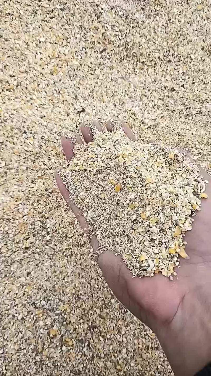 碎玉米纯净粮小颗粒