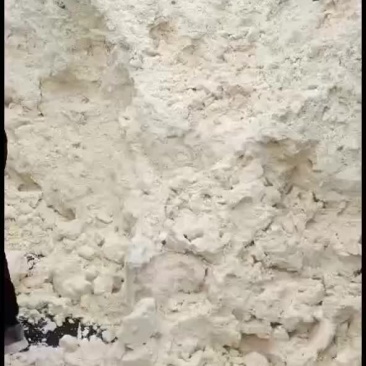 新鲜豆渣