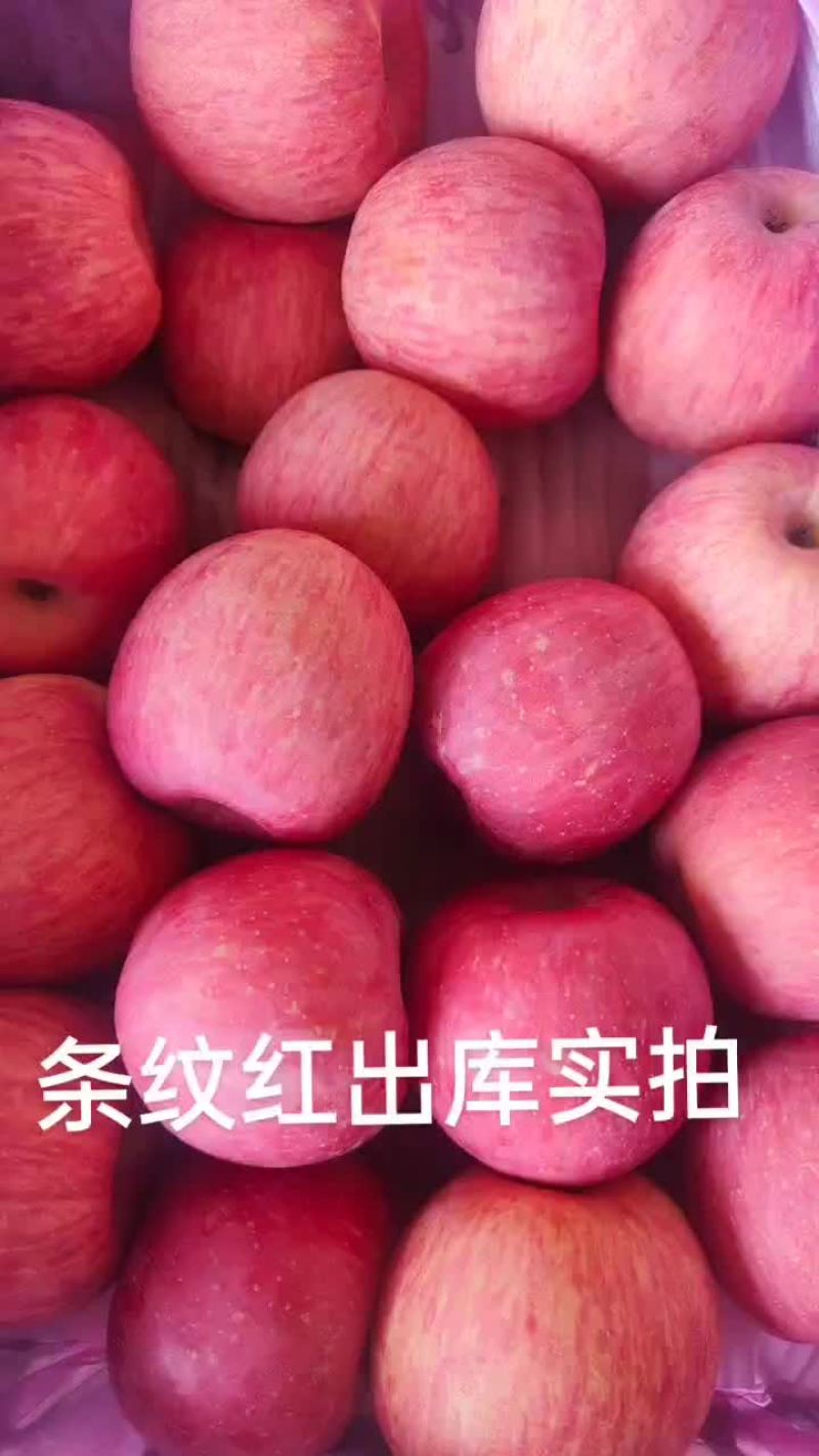 吉县红富士