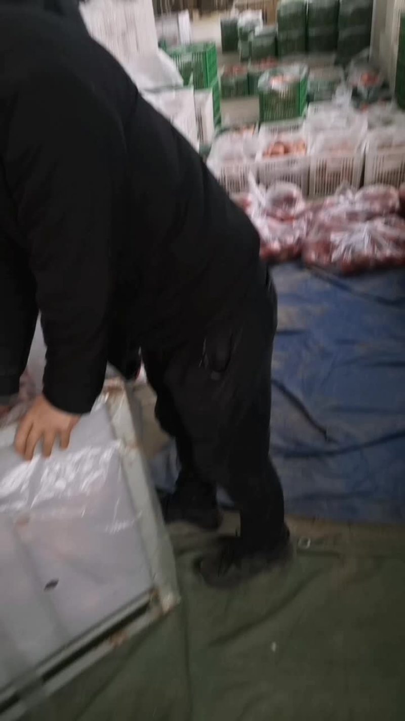 陕西红富士苹果