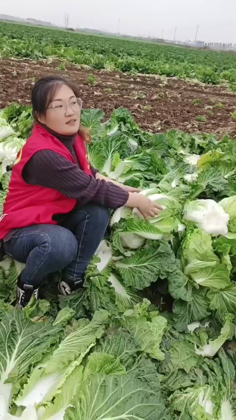 白菜，萝卜，大葱