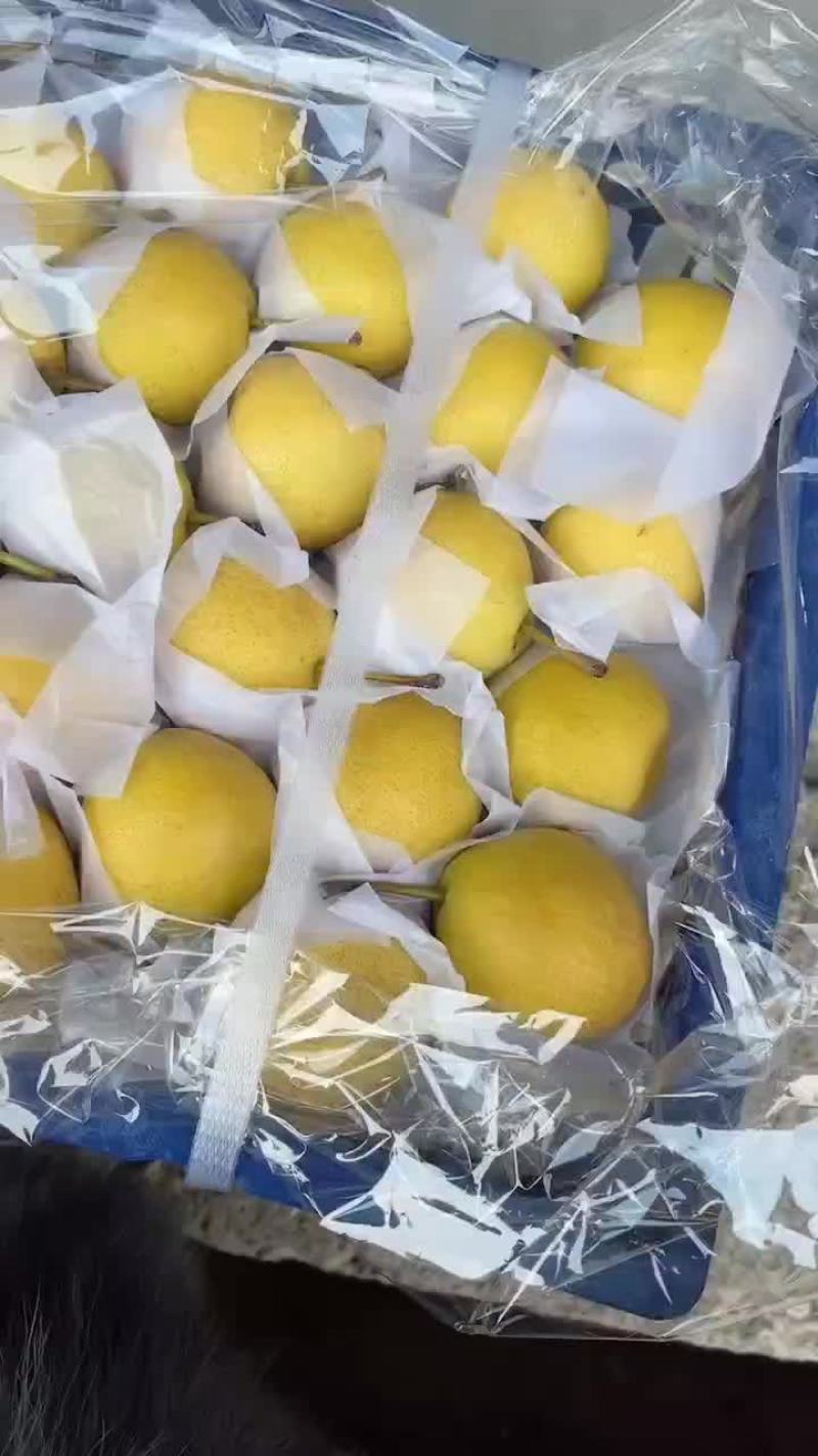 南果梨，成品南果梨，南果梨精品