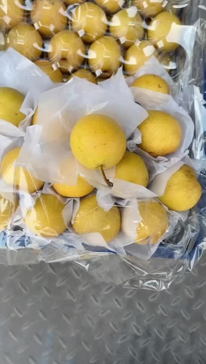 南果梨，成品南果梨，南果梨精品