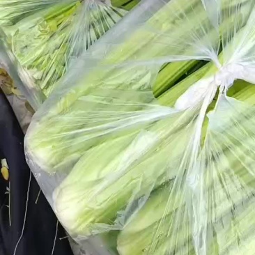 西芹
