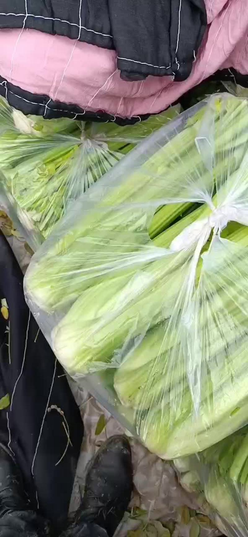 西芹