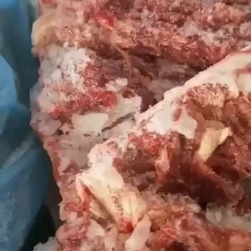 47厂牛脖骨