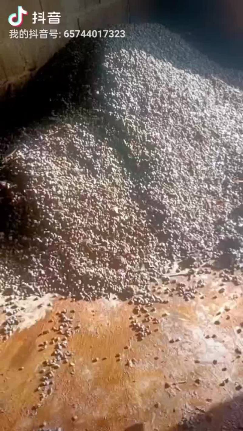 高质量有机肥