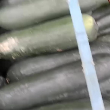 黑皮冬瓜