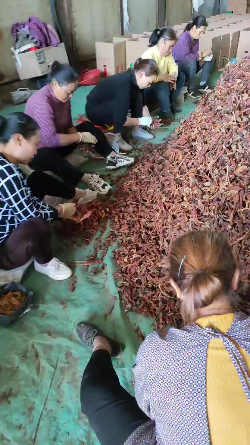 云南特产