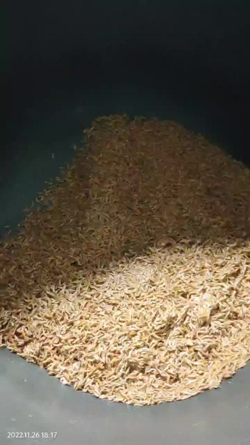 烤河虾
