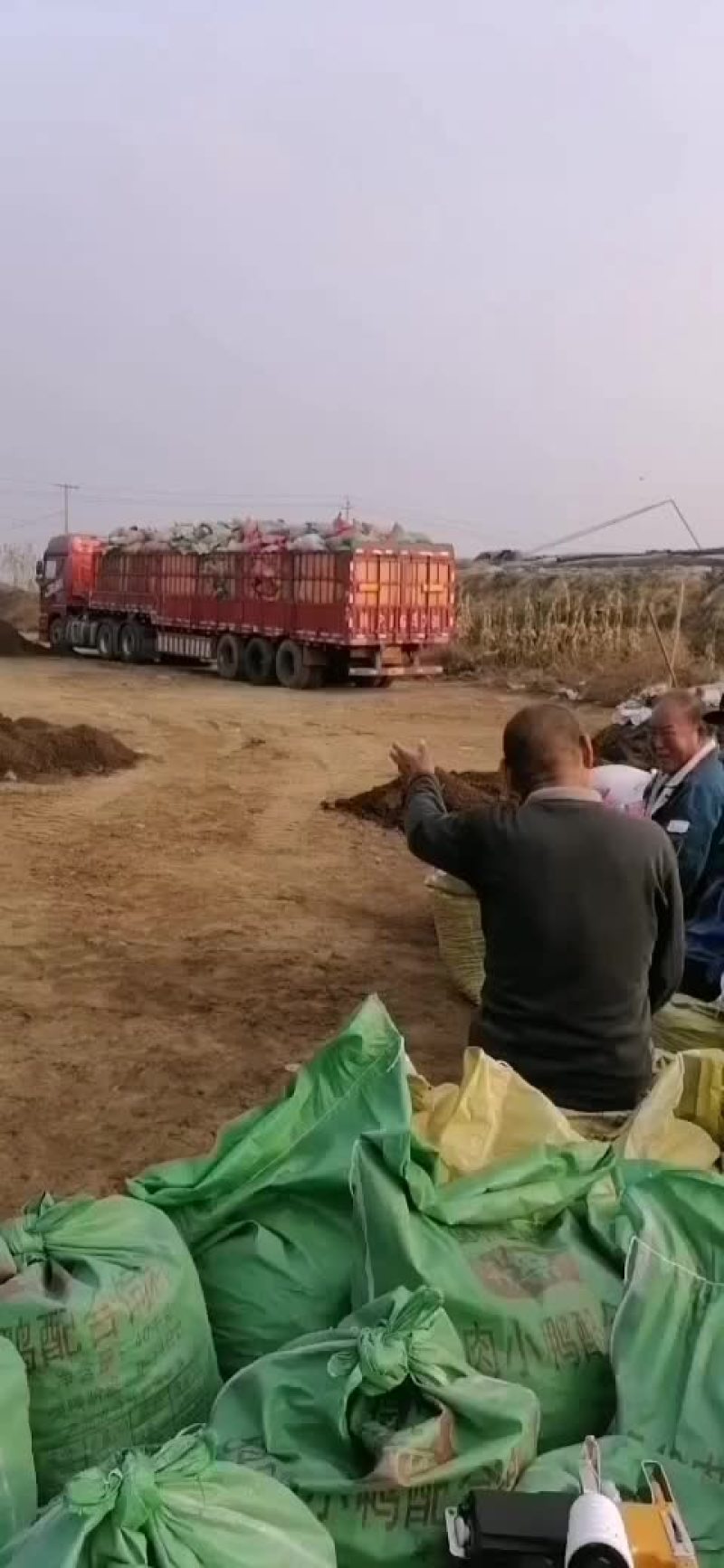 袋装的羊粪