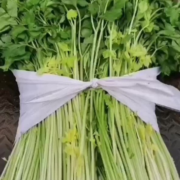 配菜：芹菜、蒜苗、葱、香菜