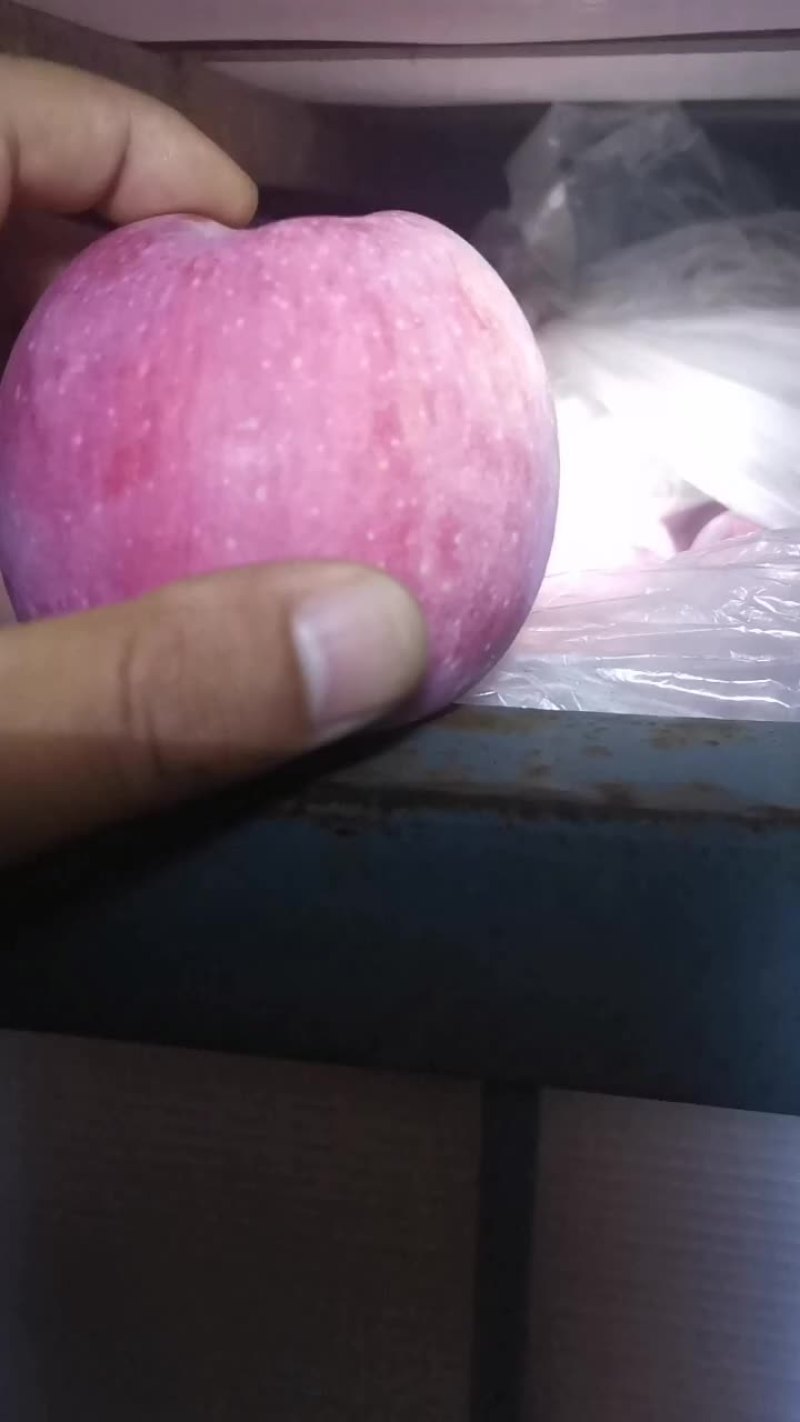 陕西红富士苹果