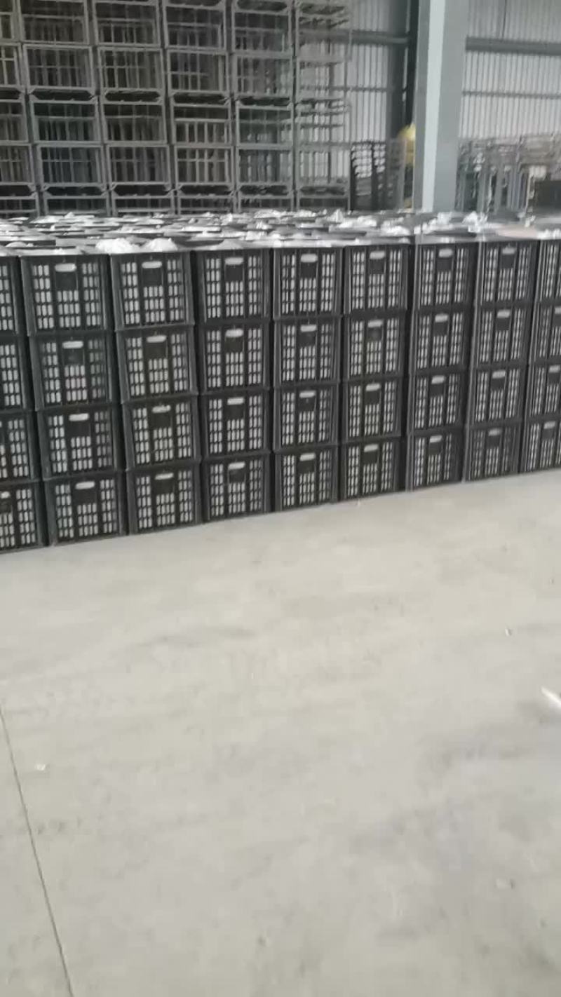 陕西红富士苹果