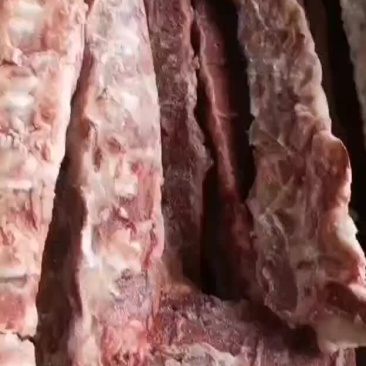 865龙骨