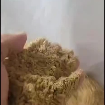 大豆磷脂油粉脂肪八个蛋白二十二适合各种畜禽养殖